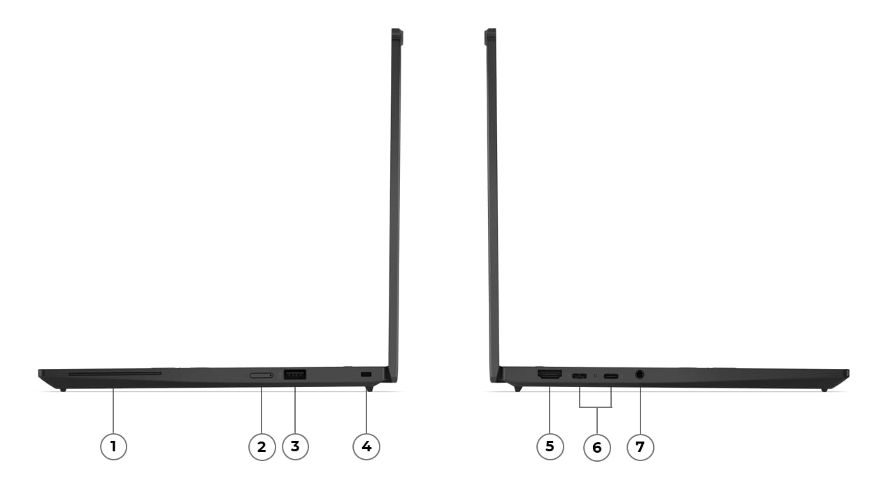 Beschreibung des Bildes